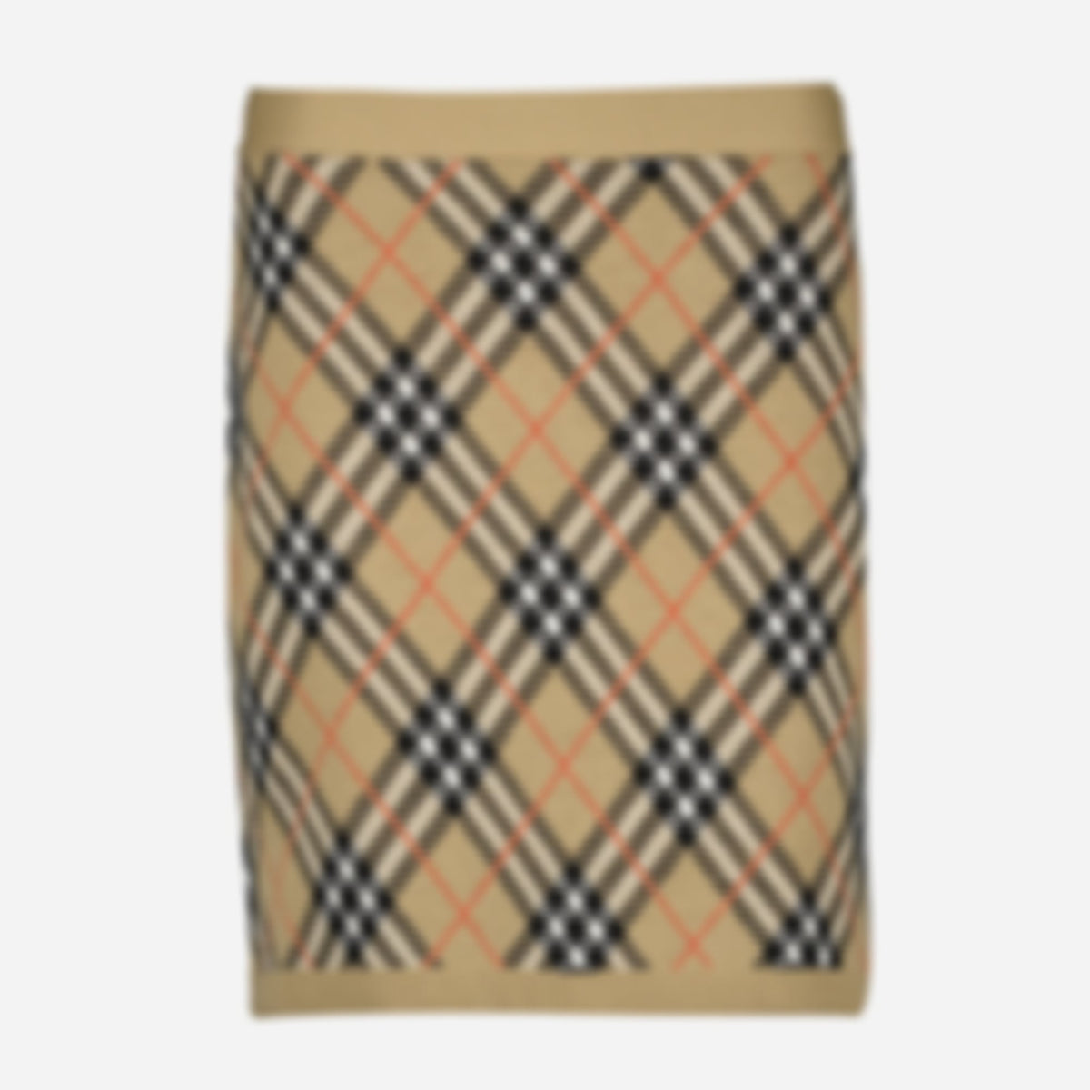 Check Plaid Skirt